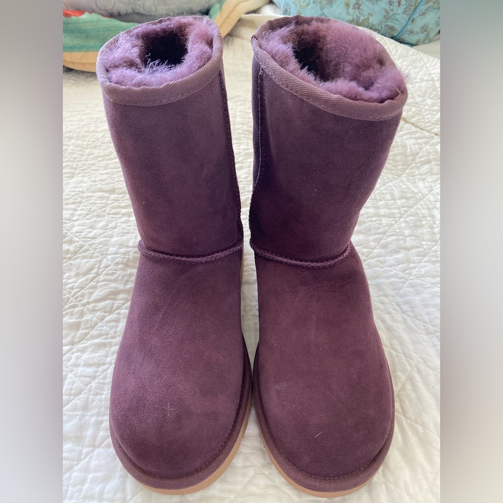 Ugg Classic Short Boots in Port